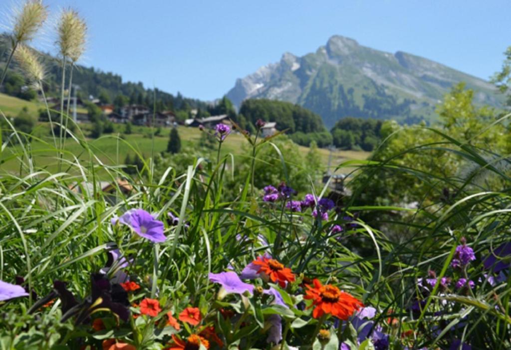 Résidence - Les Grandes Alpes La Clusaz Camera foto